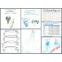 Pack mariage:  11 patrons + Dossier voile de mariée + 2 fichiers de mesures dont 4 patrons offerts