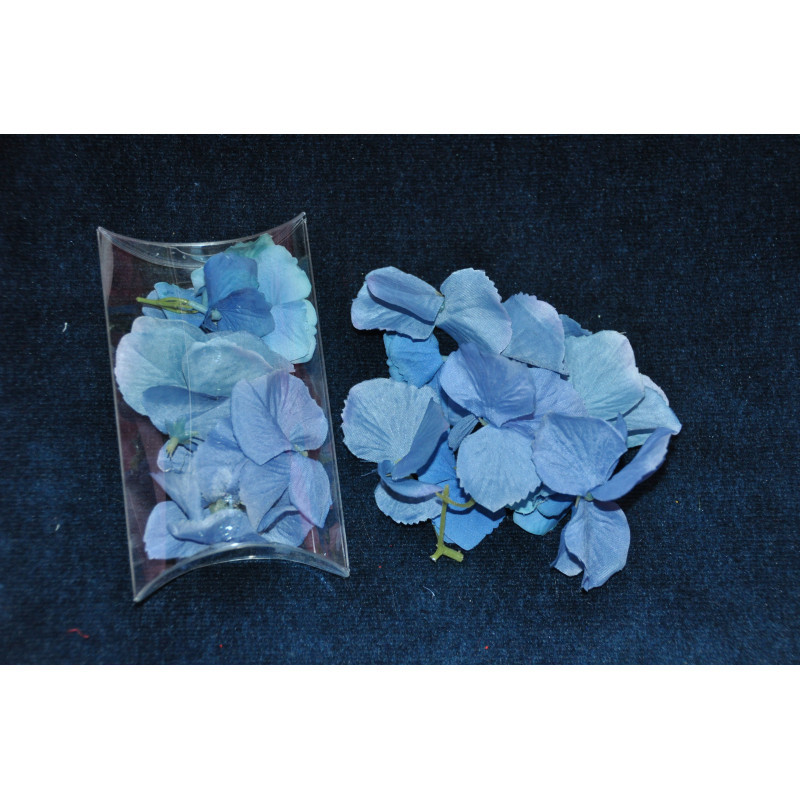 Fleurs d'hortensias bleues