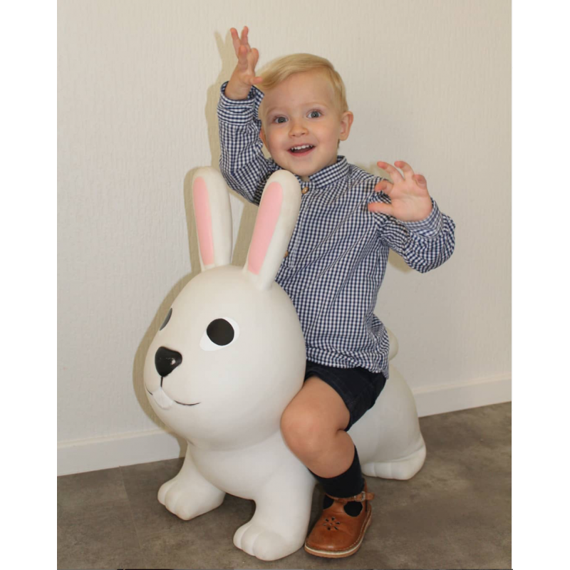 Chemise Jacques - Dauphin-Dauphine