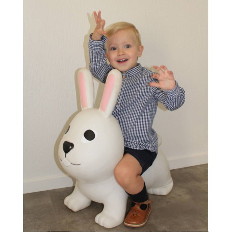 Chemise Jacques - Dauphin-Dauphine