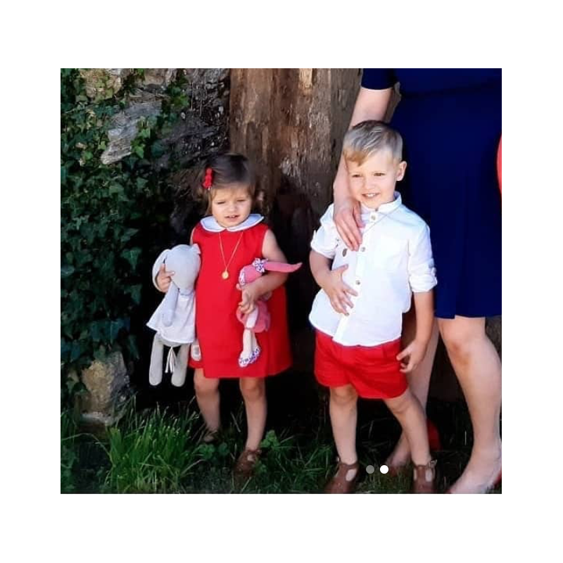 Centaurée - Dauphin-Dauphine