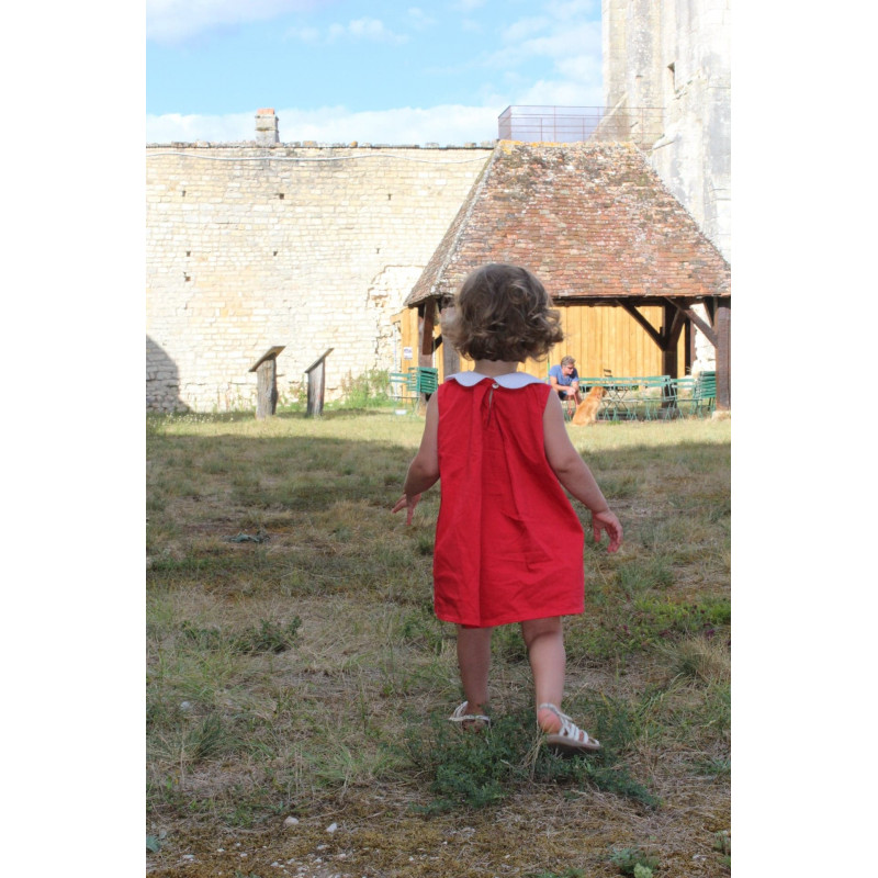 Centaurée - Dauphin-Dauphine