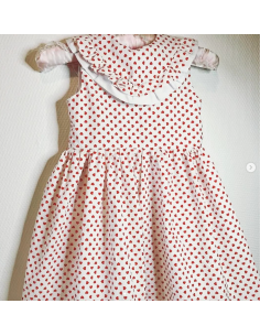 Mimosa - Dauphin-Dauphine 2