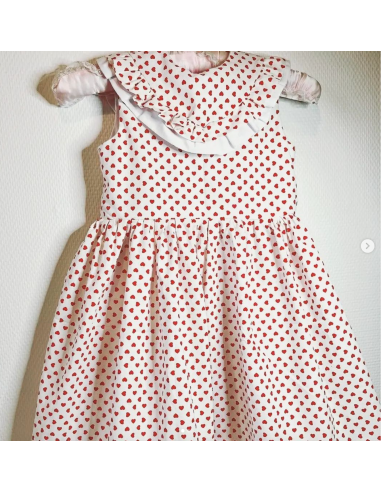 Mimosa - Dauphin-Dauphine