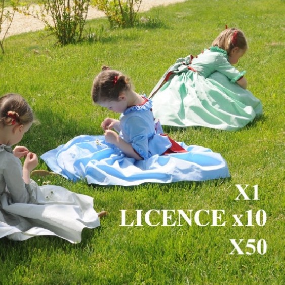 Licence pro: à l'unité, par 10 ou 50